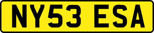 NY53ESA