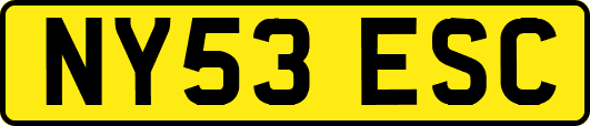 NY53ESC