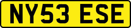 NY53ESE