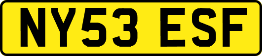 NY53ESF