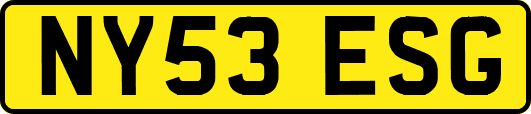 NY53ESG