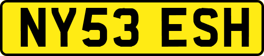 NY53ESH
