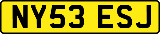 NY53ESJ