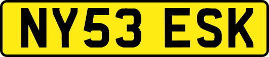 NY53ESK