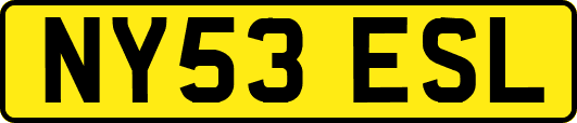 NY53ESL