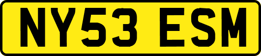 NY53ESM