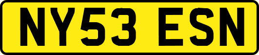 NY53ESN
