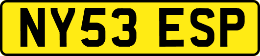 NY53ESP