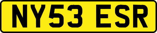 NY53ESR