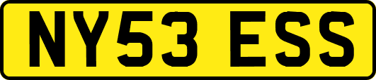 NY53ESS