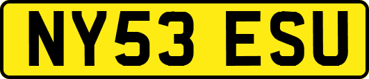 NY53ESU