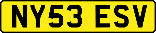 NY53ESV