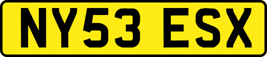 NY53ESX