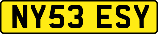 NY53ESY