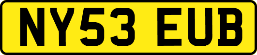 NY53EUB