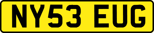 NY53EUG