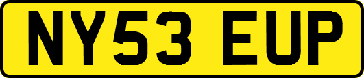 NY53EUP