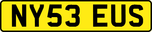 NY53EUS