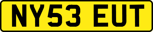 NY53EUT