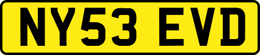 NY53EVD