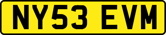 NY53EVM