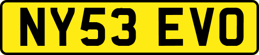 NY53EVO
