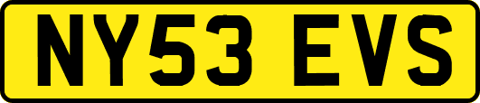 NY53EVS