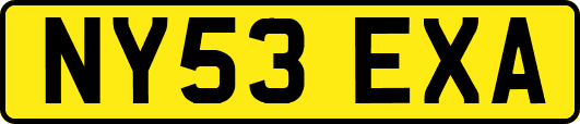 NY53EXA
