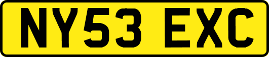 NY53EXC