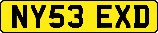 NY53EXD