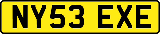 NY53EXE