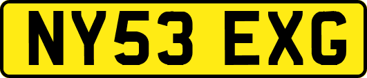 NY53EXG
