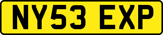 NY53EXP