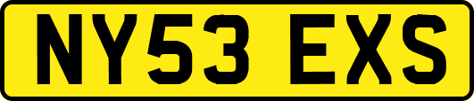 NY53EXS