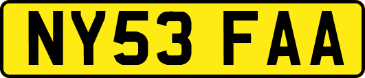 NY53FAA
