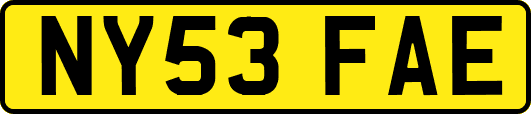 NY53FAE