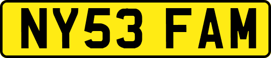 NY53FAM