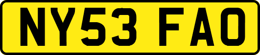 NY53FAO