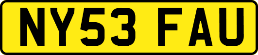 NY53FAU