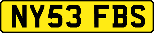 NY53FBS