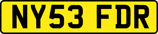 NY53FDR