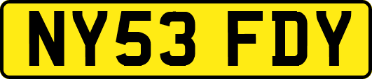 NY53FDY