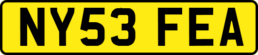 NY53FEA