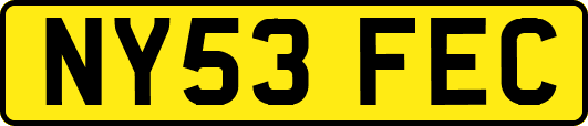 NY53FEC