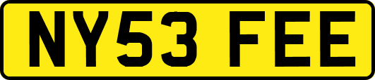 NY53FEE