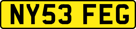 NY53FEG