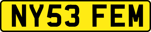NY53FEM