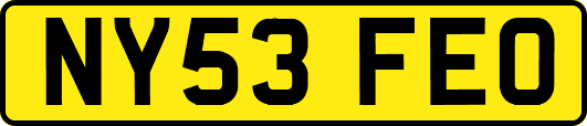 NY53FEO