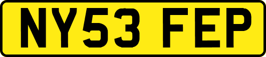 NY53FEP