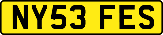 NY53FES